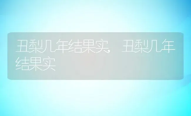 丑梨几年结果实,丑梨几年结果实 | 养殖科普