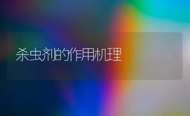 杀虫剂的作用机理 | 养殖技术大全