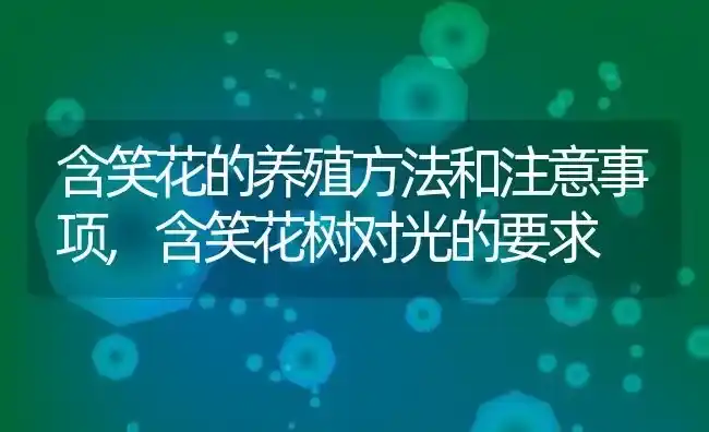 含笑花的养殖方法和注意事项,含笑花树对光的要求 | 养殖学堂