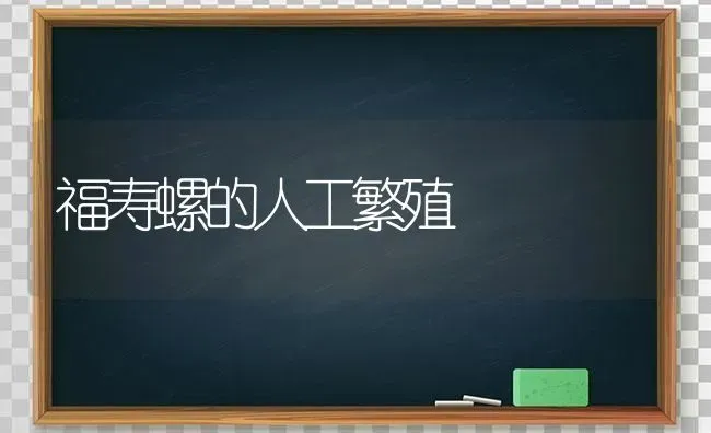 福寿螺的人工繁殖 | 养殖技术大全