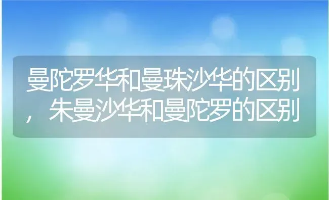 曼陀罗华和曼珠沙华的区别,朱曼沙华和曼陀罗的区别 | 养殖学堂