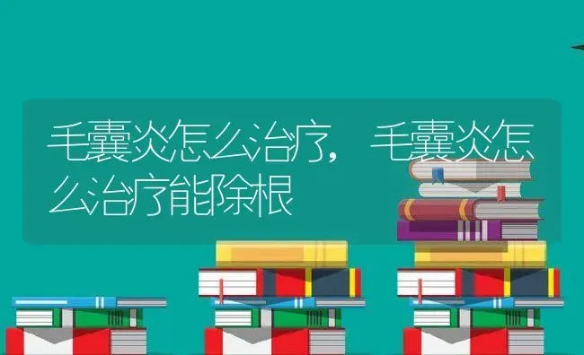 毛囊炎怎么治疗,毛囊炎怎么治疗能除根 | 养殖科普