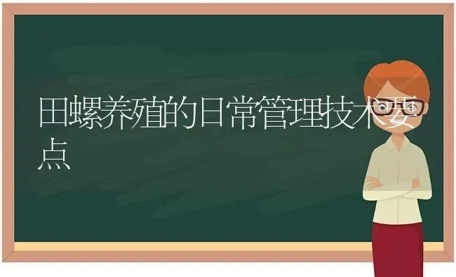 田螺养殖的日常管理技术要点 | 养殖技术大全