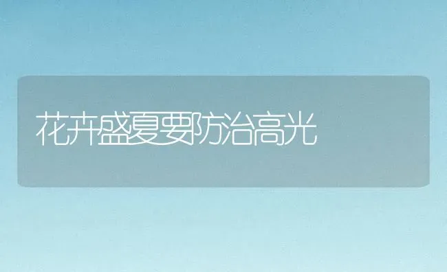 花卉盛夏要防治高光 | 养殖知识