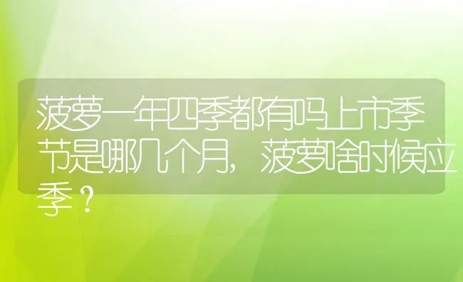 菠萝一年四季都有吗上市季节是哪几个月,菠萝啥时候应季？ | 养殖科普