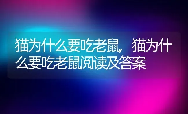 猫为什么要吃老鼠,猫为什么要吃老鼠阅读及答案 | 养殖资料