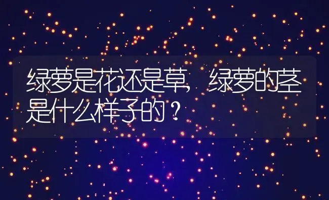 绿萝是花还是草,绿萝的茎是什么样子的？ | 养殖科普