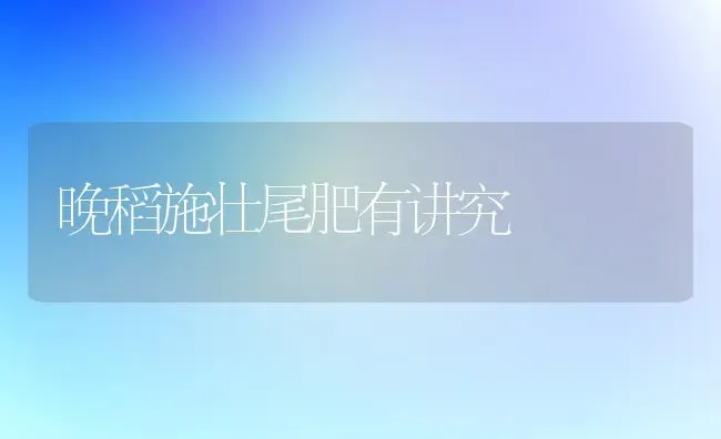 晚稻施壮尾肥有讲究 | 养殖技术大全