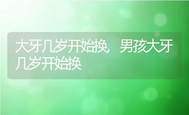 大牙几岁开始换,男孩大牙几岁开始换 | 养殖资料