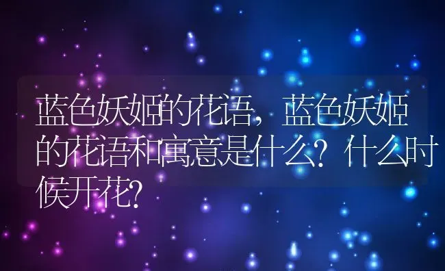 蓝色妖姬的花语,蓝色妖姬的花语和寓意是什么?什么时候开花？ | 养殖科普