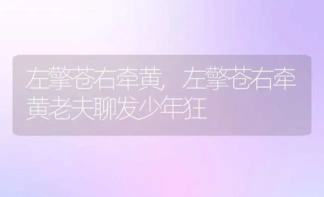 左擎苍右牵黄,左擎苍右牵黄老夫聊发少年狂 | 养殖科普