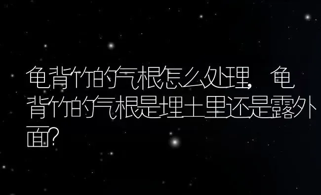 龟背竹的气根怎么处理,龟背竹的气根是埋土里还是露外面？ | 养殖学堂