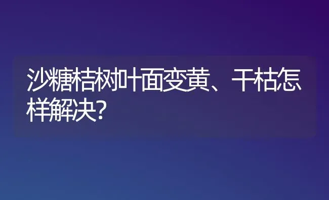 沙糖桔树叶面变黄、干枯怎样解决? | 养殖技术大全