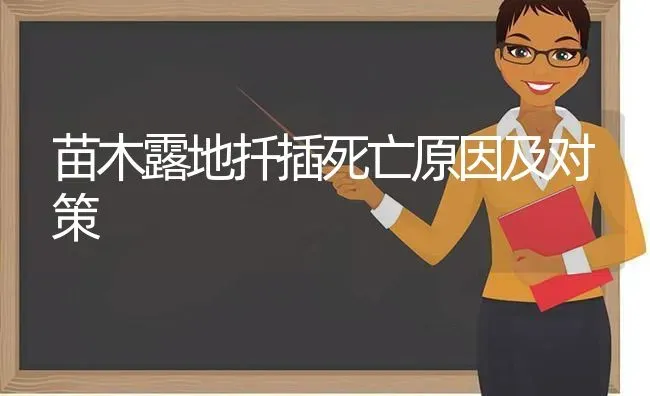 苗木露地扦插死亡原因及对策 | 养殖技术大全