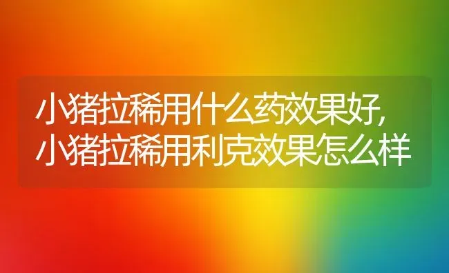小猪拉稀用什么药效果好,小猪拉稀用利克效果怎么样 | 养殖学堂