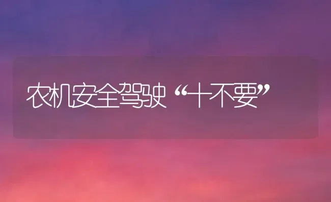 农机安全驾驶“十不要” | 养殖知识
