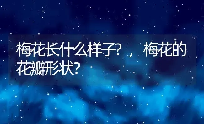 梅花长什么样子?,梅花的花瓣形状？ | 养殖学堂