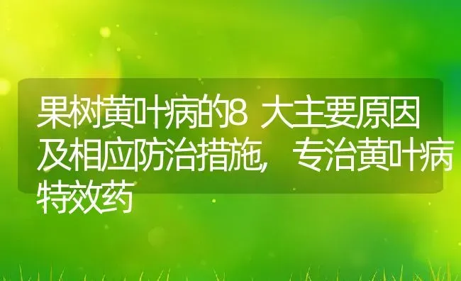 果树黄叶病的8大主要原因及相应防治措施,专治黄叶病特效药 | 养殖学堂