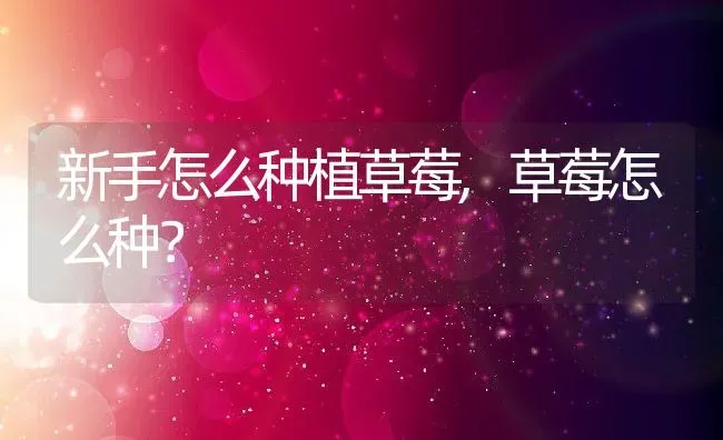 新手怎么种植草莓,草莓怎么种？ | 养殖学堂