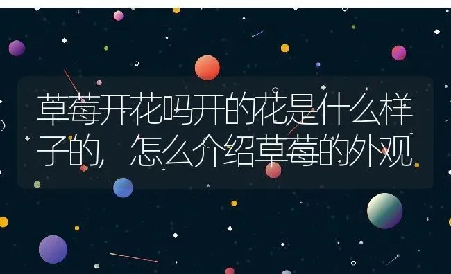 草莓开花吗开的花是什么样子的,怎么介绍草莓的外观 | 养殖学堂