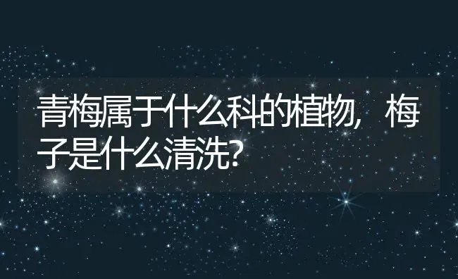 青梅属于什么科的植物,梅子是什么清洗？ | 养殖科普