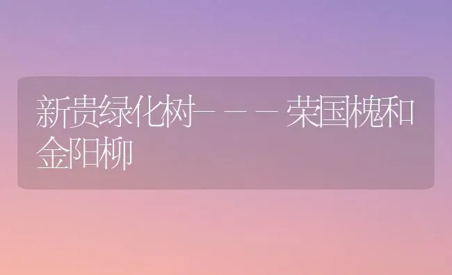 新贵绿化树---荣国槐和金阳柳 | 养殖技术大全