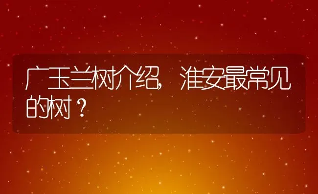 广玉兰树介绍,淮安最常见的树？ | 养殖科普