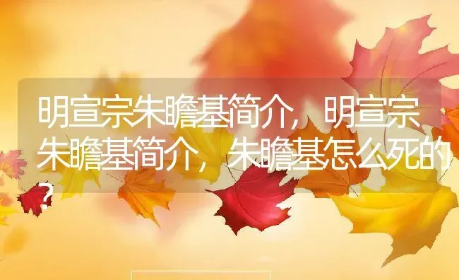 非洲大蜗牛有毒吗,非洲大蜗牛有毒吗?可以拿着玩不? | 养殖科普