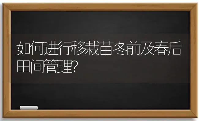 如何进行移栽苗冬前及春后田间管理? | 养殖知识