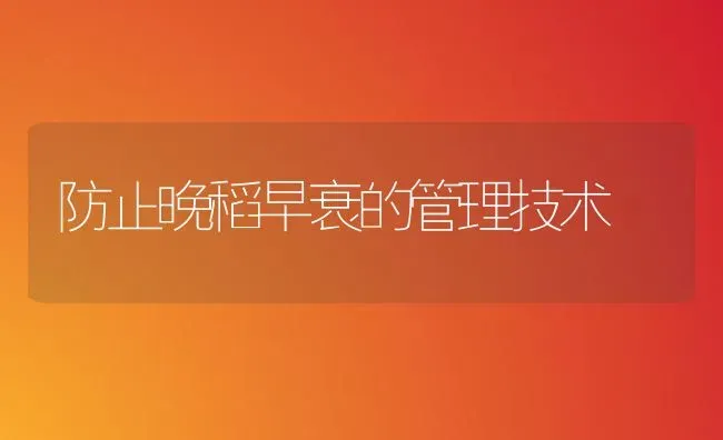 防止晚稻早衰的管理技术 | 养殖技术大全