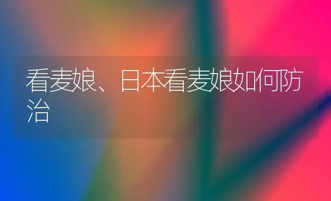 看麦娘、日本看麦娘如何防治 | 养殖技术大全