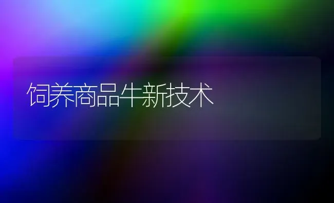 饲养商品牛新技术 | 养殖技术大全