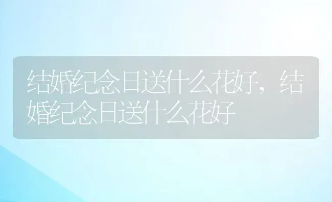 结婚纪念日送什么花好,结婚纪念日送什么花好 | 养殖科普