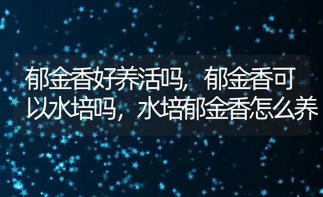 郁金香好养活吗,郁金香可以水培吗，水培郁金香怎么养 | 养殖学堂