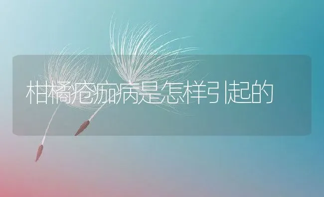 柑橘疮痂病是怎样引起的 | 养殖学堂