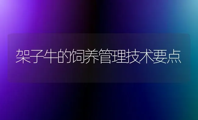 架子牛的饲养管理技术要点 | 养殖知识