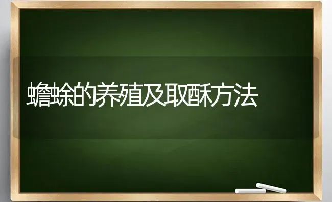 蟾蜍的养殖及取酥方法 | 养殖技术大全