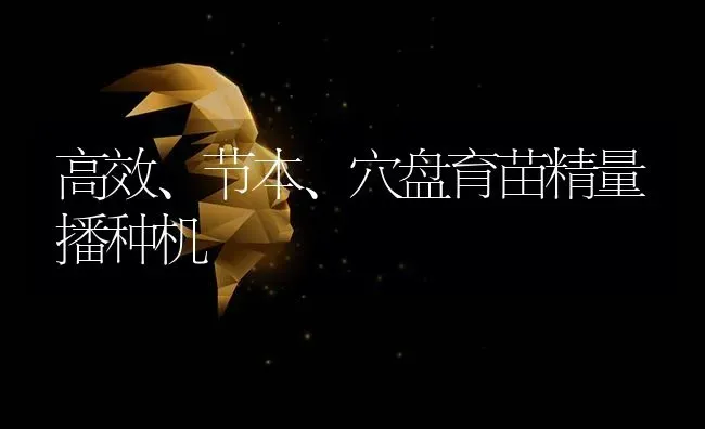高效、节本、穴盘育苗精量播种机 | 养殖技术大全