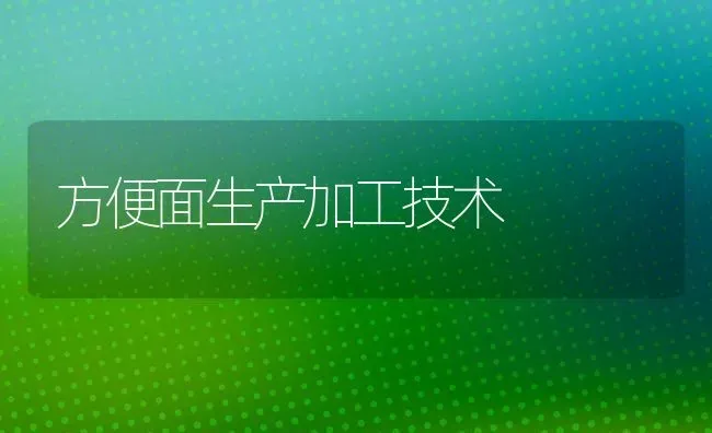 方便面生产加工技术 | 养殖技术大全