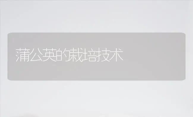 蒲公英的栽培技术 | 养殖技术大全
