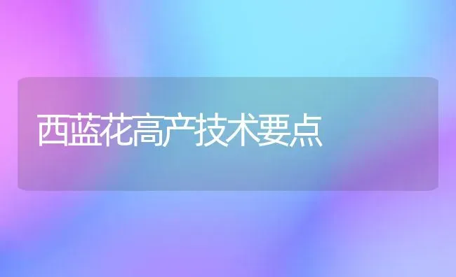 西蓝花高产技术要点 | 养殖技术大全
