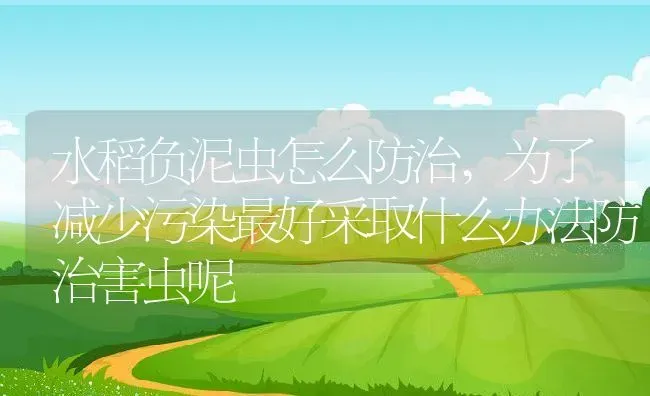 水稻负泥虫怎么防治,为了减少污染最好采取什么办法防治害虫呢 | 养殖学堂