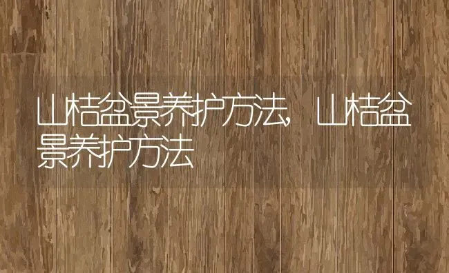 山桔盆景养护方法,山桔盆景养护方法 | 养殖科普