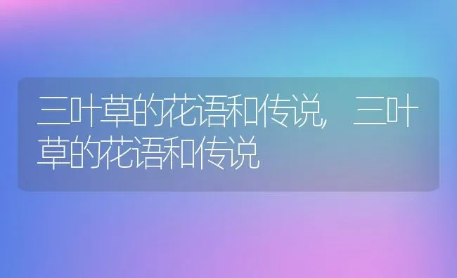 三叶草的花语和传说,三叶草的花语和传说 | 养殖科普