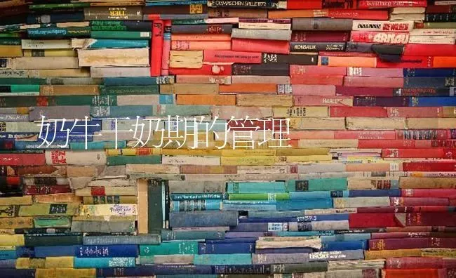 奶牛干奶期的管理 | 养殖技术大全
