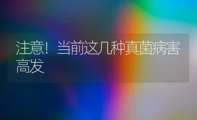 注意！当前这几种真菌病害高发 | 养殖技术大全