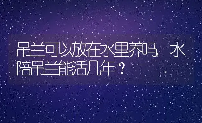 吊兰可以放在水里养吗,水陪吊兰能活几年？ | 养殖科普