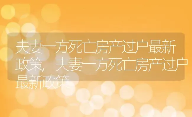 夫妻一方死亡房产过户最新政策,夫妻一方死亡房产过户最新政策 | 养殖科普