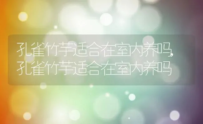 孔雀竹芋适合在室内养吗,孔雀竹芋适合在室内养吗 | 养殖科普