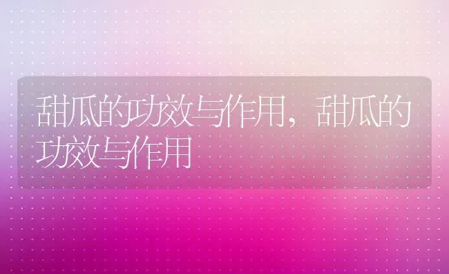 甜瓜的功效与作用,甜瓜的功效与作用 | 养殖科普